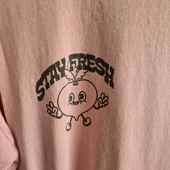 Urban Outfitters Stay Fresh Pink Long Sleeve Oversized Tee Small - Picture 3 of 13